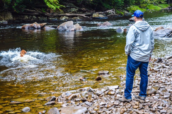 Morici plays fetch with "Banks" in the Cheat River.