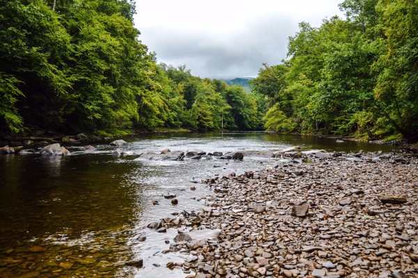 The Cheat River is a very popular attraction in Randolph County.