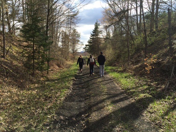 West Fork Trial in Glady. Photo by Emily Coffman.