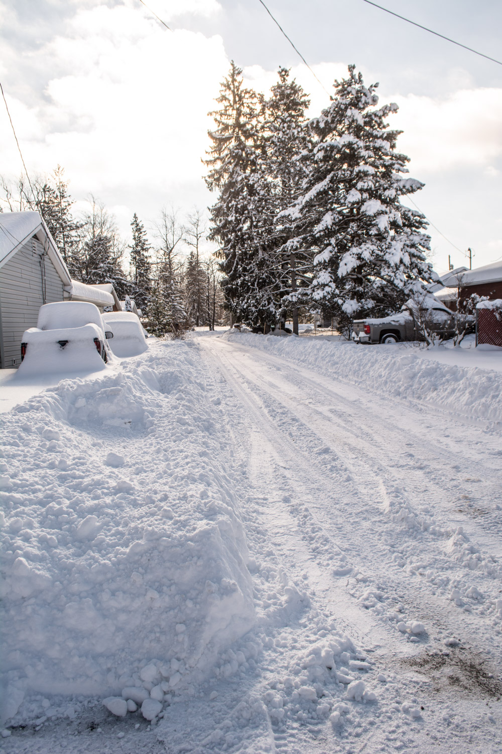 » Blizzard 2016 Images of Elkins in the Snow